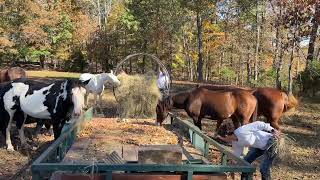 Episode 94 - Autumn Chores On The Farm