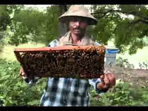 WEST BENGAL BEE-KEEPERS' ASSOCIATION. BARASAT