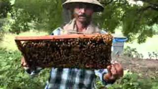 WEST BENGAL BEE-KEEPERS' ASSOCIATION. BARASAT