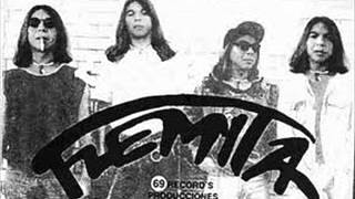 Flemita   Falsa democracia