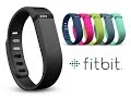 Focus On Fitbit IPO - YouTube