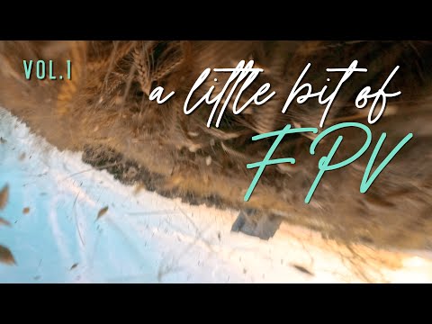 A LITTLE BIT OF FPV — VOL. 1: Summer 2023 — Freestyle & Cinematic FPV