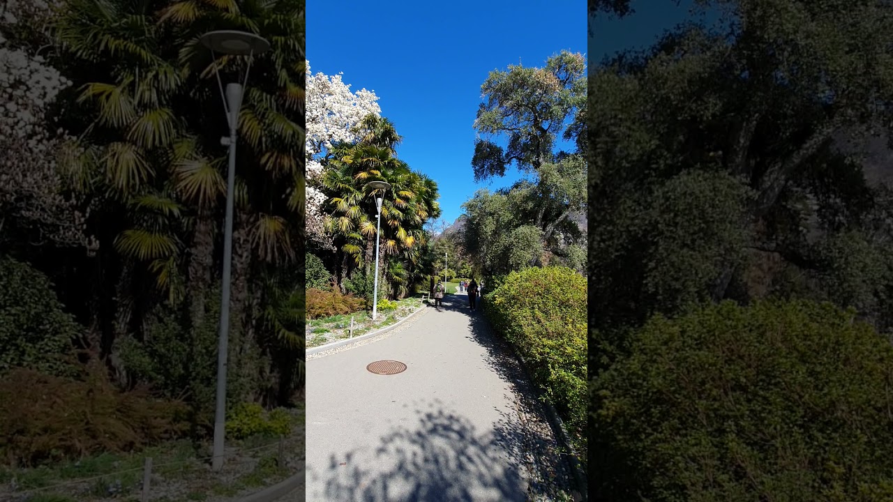 YouTube Short thumbnail