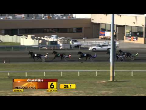 Meadowlands Qualifier #6 - Hot List - November 15, 2014