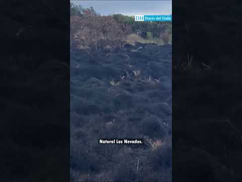 🔥 Incendio afectó el páramo de Santa Isabel, en el Tolima