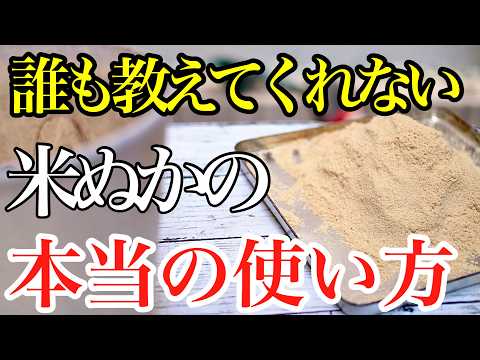 果樹にマルチングする時期はいつ果樹に最適なマルチですか