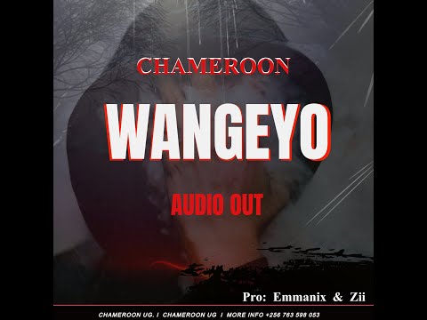 Wangeyo MP4