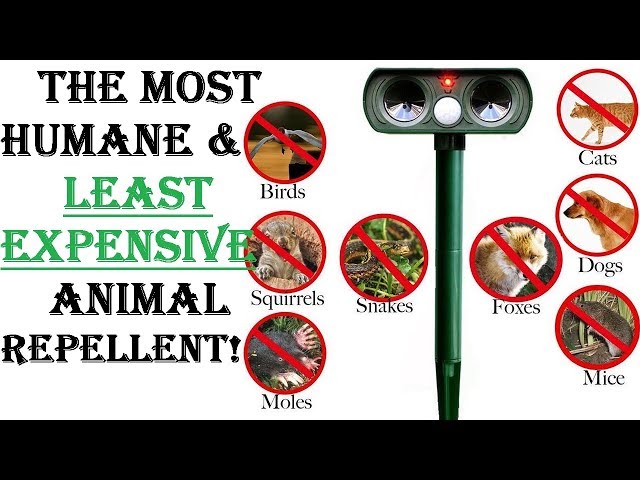 طارد الطيور والحيوانات حمام قطط كلاب ذئاب غزلان عن منزلك وحديقتك ومزرعتك يعمل بواسطة الطاقة الشمسية بالموجات فوق الصوتية مطابق للمواصفات العالمية.