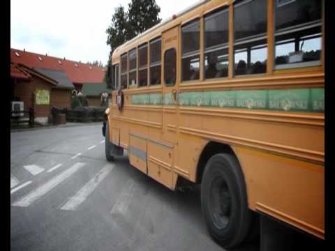 Plener weselny w Bałtowie