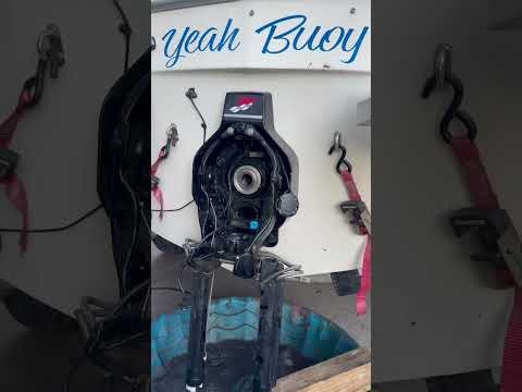 Installing the gimbal bearing 01 bayliner 3.0mercruiser alpha1 gen2 ##boatlife #roaringbearing #diy