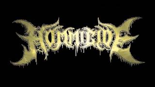 HOMMICIDE - Blood Rebellion(Oficial Track)