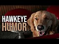 Hawkeye Humor Big Strong Hawkeye Riding Pony Episode 3