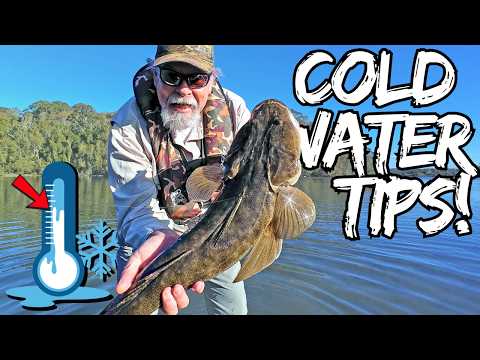 Big Flathead