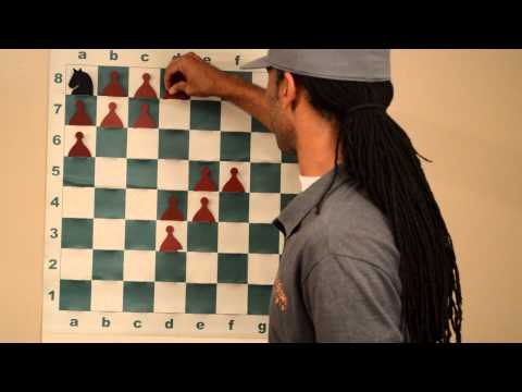 Introduction to chess.  The knight