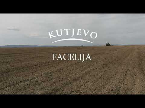 Kutjevo d.d. - Facelija