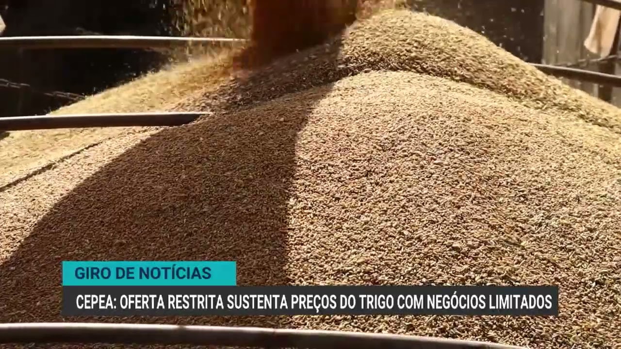 Venda de material genético bovino cresce 11,5% no 1º semestre | Giro de Notícias