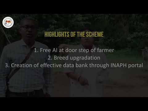 Updated Action Plan on Implementation of NAIP IV