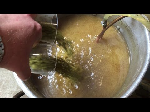 Home Brew Wednesday 130