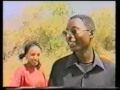LARURA SONG