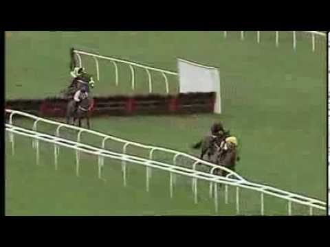 Cheltenham 2014: Triumph Hurdle Preview