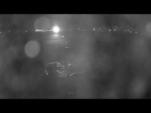 Pirates H1 - Pirates H2