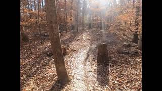 Rotary park Segments of Bluebird