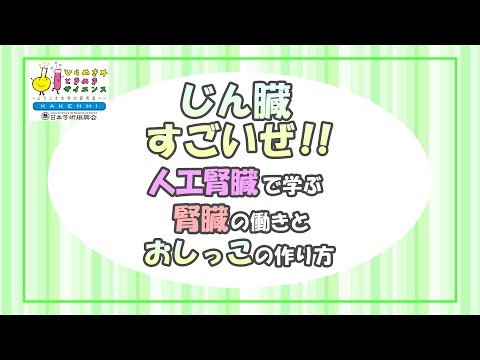 【ひらめき☆ときめきサイエンス2023年度】じん臓すごいぜ！人工腎臓で学ぶ腎臓の働きとおしっこの作り方（小学5・6年生対象）