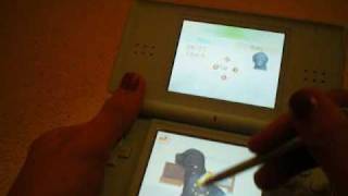 nintendogs cheats! how to get a TON of trainer points!