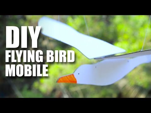 download lagu mp3 mp4 Bird Mobile, download lagu Bird Mobile gratis, unduh video klip Bird Mobile