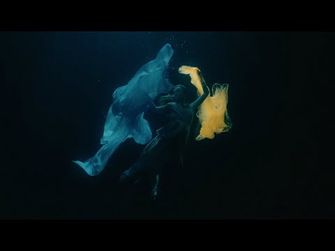 Alina Pash - Тіні Забутих Предків (Lyric video)