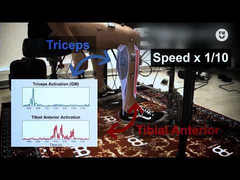 Drums Biomech - The Ankle Technique