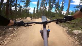 Field Trip - Trestle Bike Park