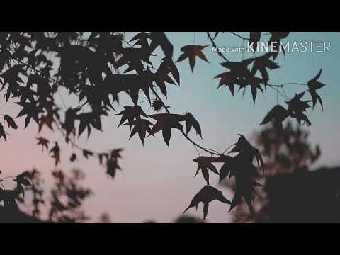 Sunset lover view pixel.com (Best Compilation of Sunsets and Time Lapse of Sky Views)