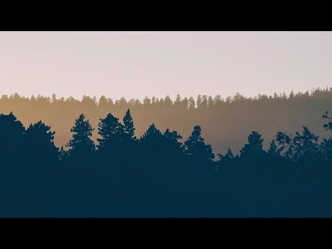 (FREE) Young Thug Type Beat 2019 - "Mine" | Free Type Beat | Melodic Trap Instrumental