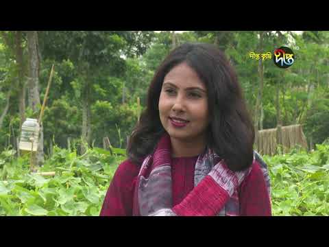 লতিরাজ কচু, পটলের ও পানের চাষ