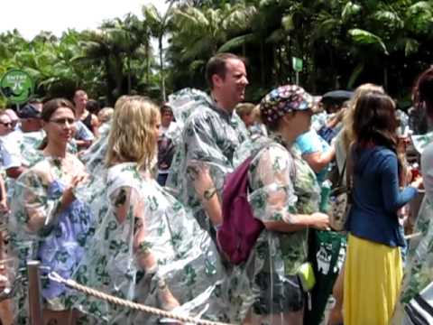 Australia Zoo Feeding Elephants.MOV