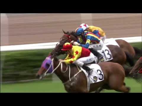 19/6/2022 (753) California Vanes -  Z Purton