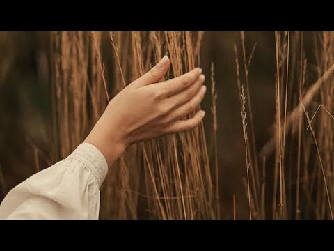 Piu Sorin si Daniela - Samariteanul | Lyrics