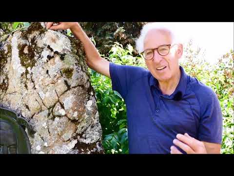 Tourismus Hochburg Vulpera