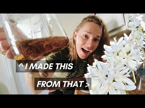 Brewing Coffee Blossom Tea from Gesha Flowers I Dried (Over a Year Ago)