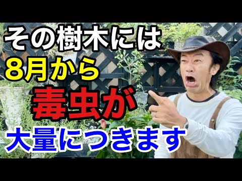 園芸 モール山塊 (83)