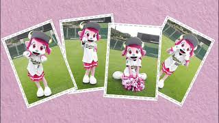 "ベルといっしょ" Buffalo Bell DVD: Bell To Issho