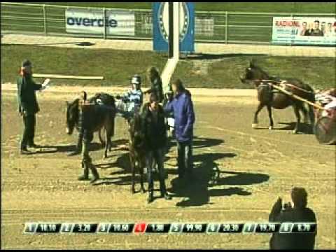 Ponny koers Alkmaar2