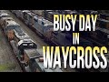 Busy Day In Waycross