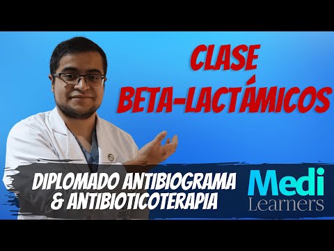 Betalactámicos Explicados Claramente