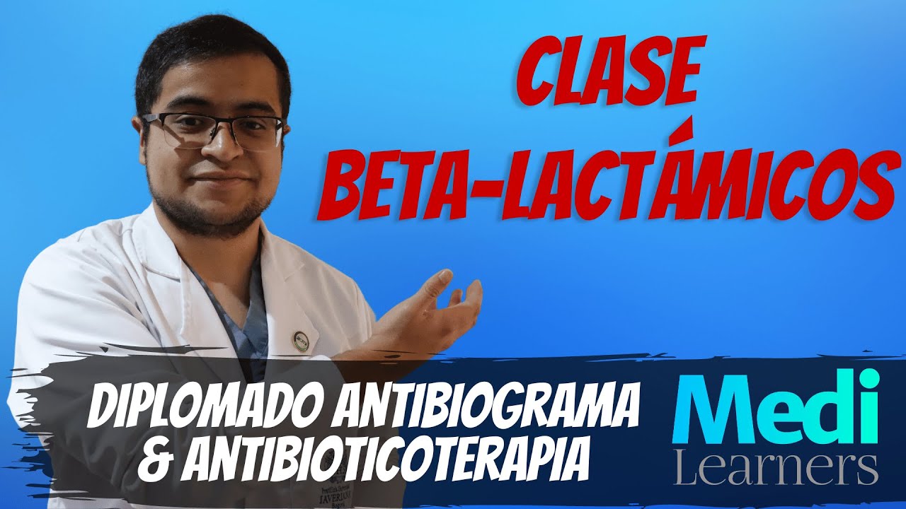 Betalactámicos Explicados Claramente