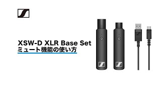 SENNHEISER ( ゼンハイザー ) XSW-D XLR BASE SET 送料無料 SENNHEISER ( ゼンハイザー ) XSW-D XLR BASE SET 送料無料