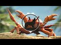 Noisestorm - Crab Rave [Bass Boosted]