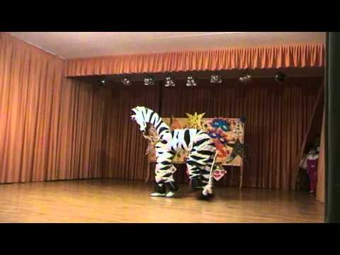 Dope zebra(Party Rock Athem)Carnival