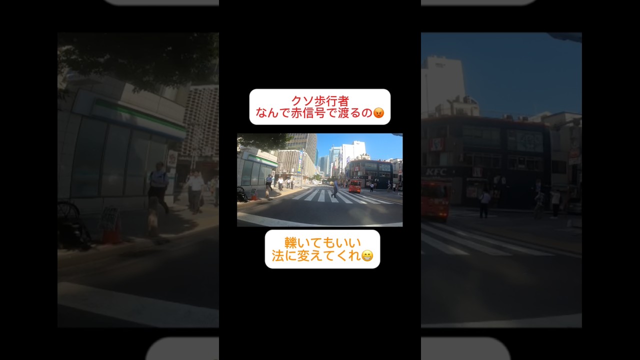 クソ歩行者なんで赤信号で渡るの😡轢いてもいい法に変えてくれ😁